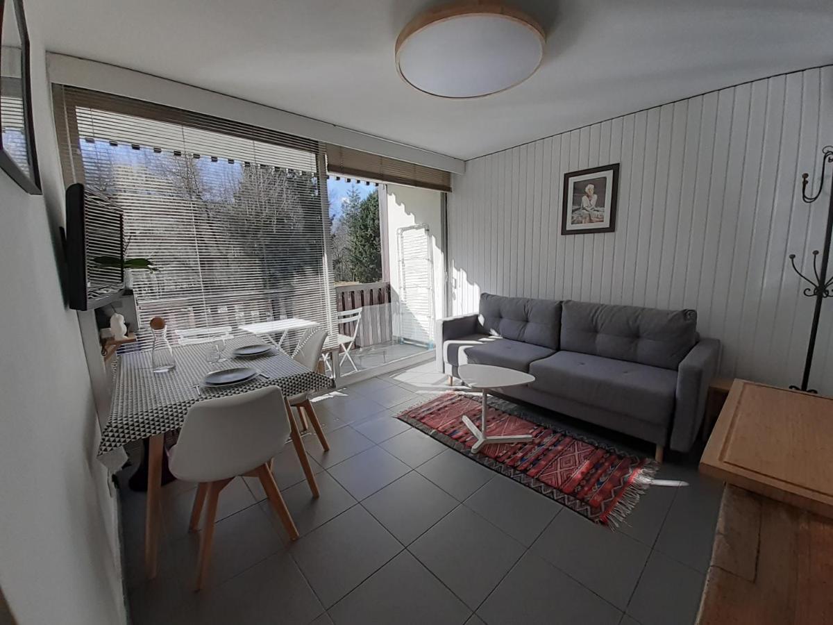 Appartement Quartier Calme Centre Vue Mont Blanc Chamonix